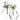 CRYSTAL GLASS BUD VASE -HEX FLAT - LARGE