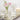Cameo Porcelain Vases