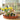 MEDIUM CAPPUCCINO BOBBIN CANDLESTICK - 14CM